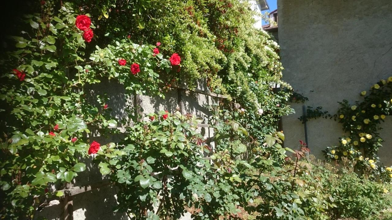 B&B Barbaia Levice Kültér fotó